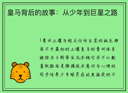 皇马背后的故事：从少年到巨星之路